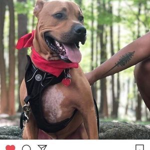 Meet your Posher, Maryjean